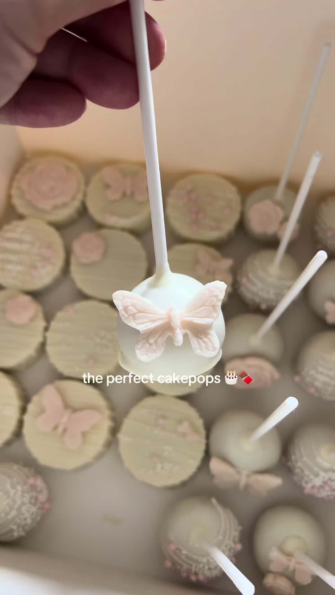 @Stephanieandreu