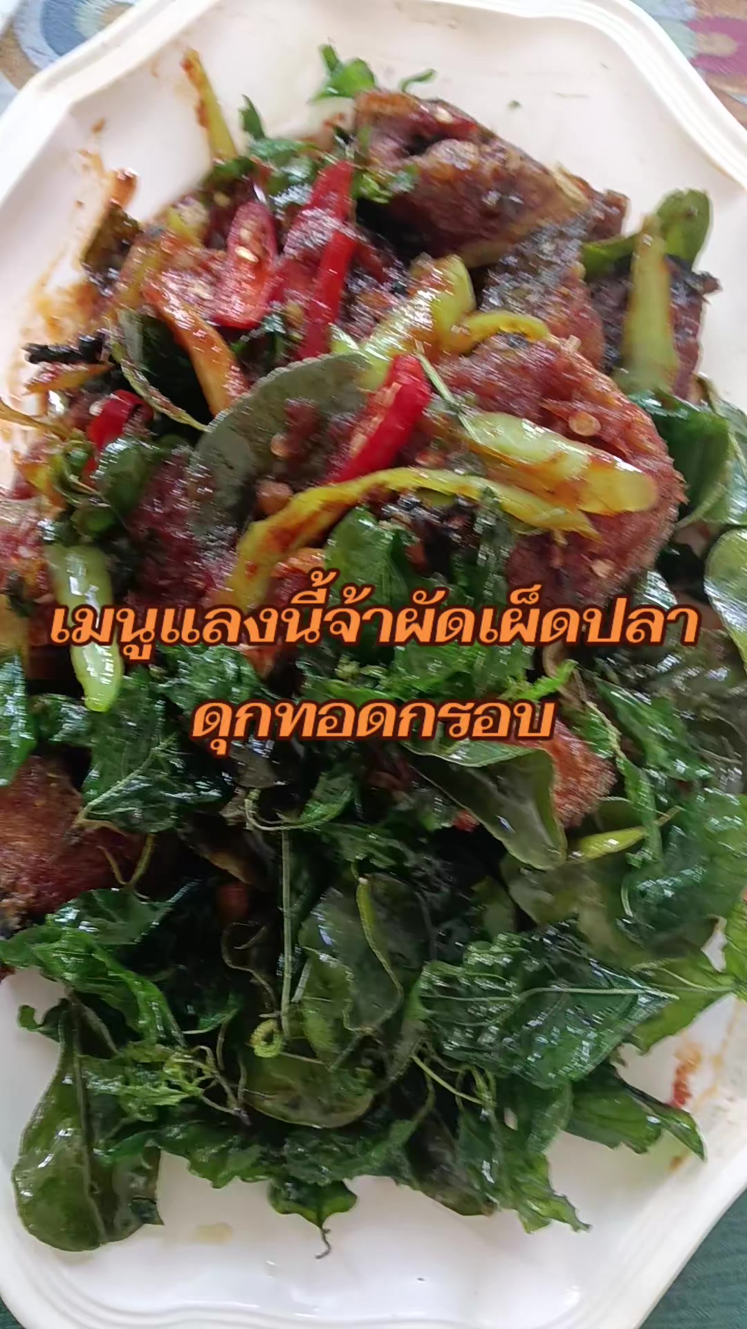 @pranee