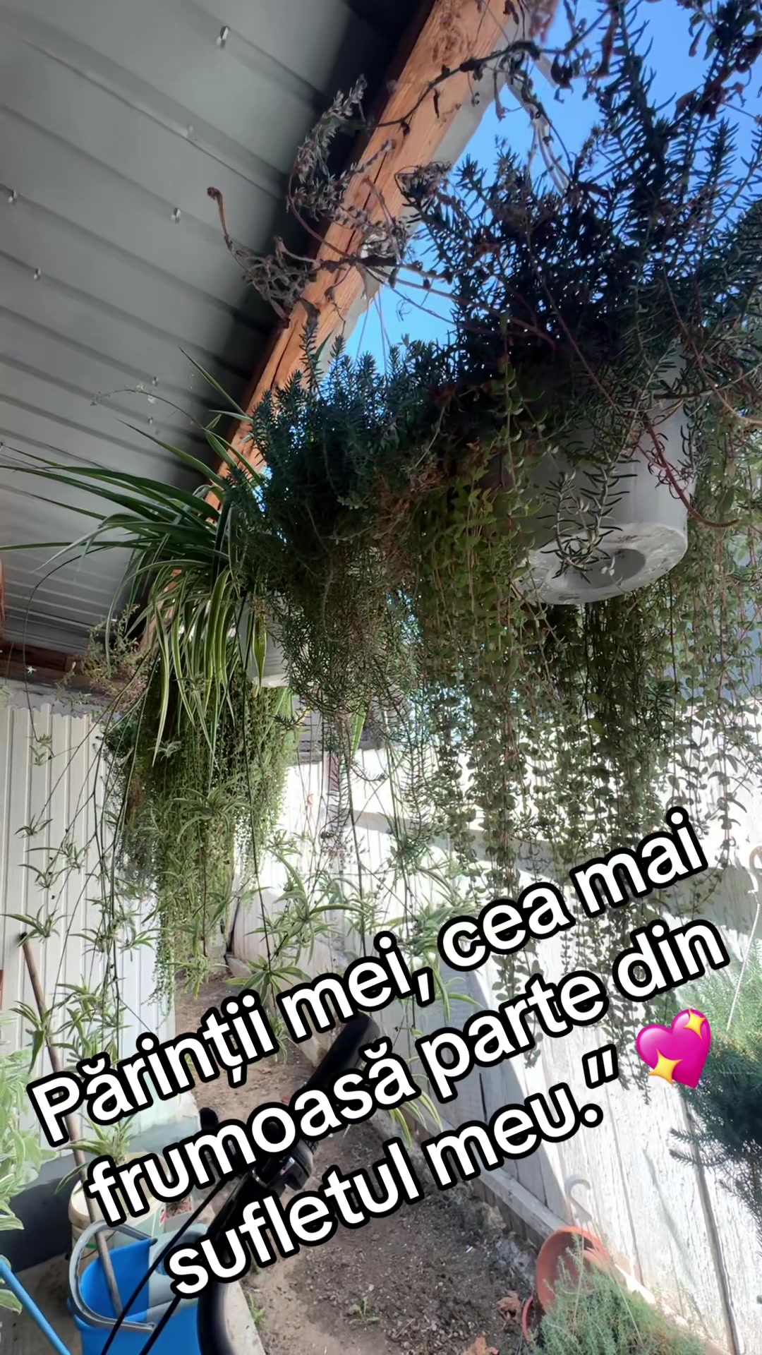 @Belmondo