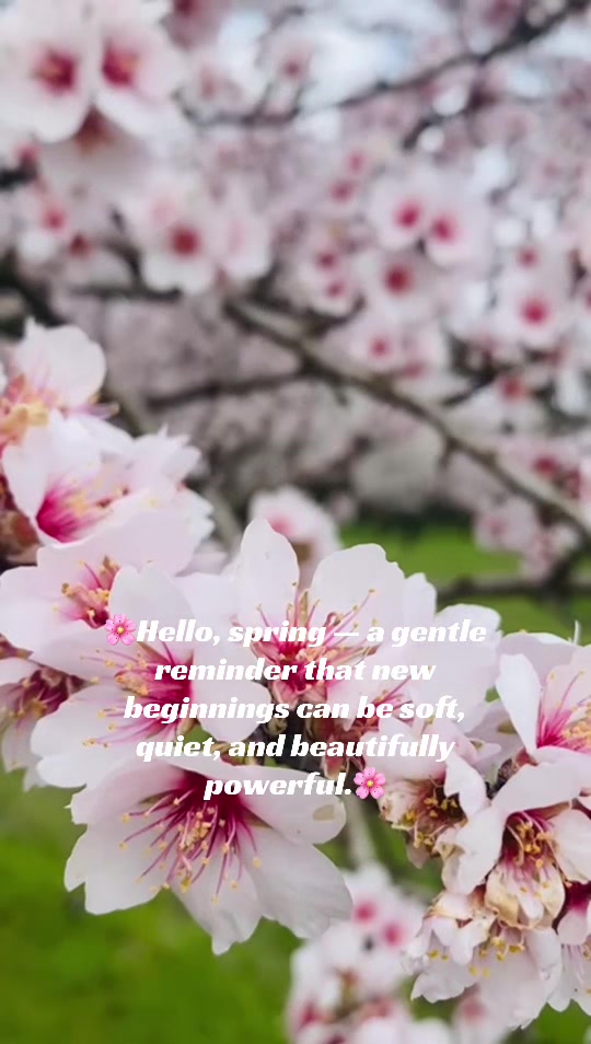 @💕Neel Sweetheart 💕