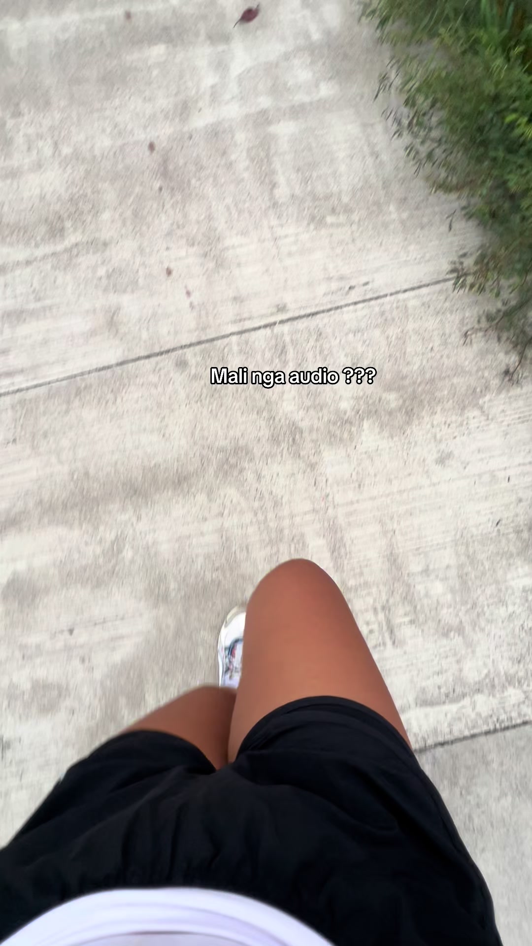 @🐷