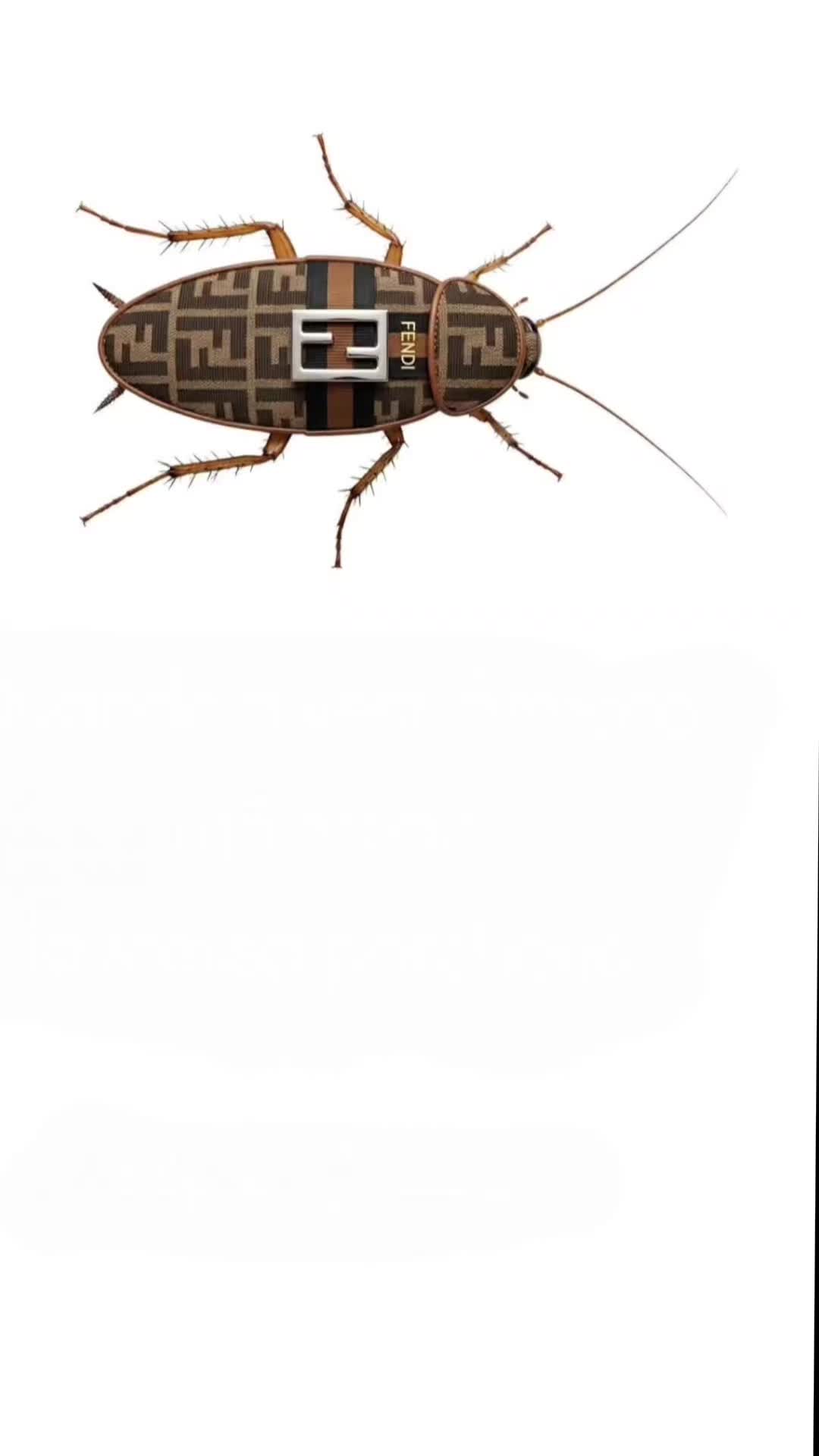 @✠ Nobody ✠