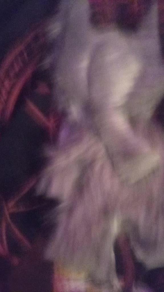 @★K!W!TH3B!RDAST3R!A★