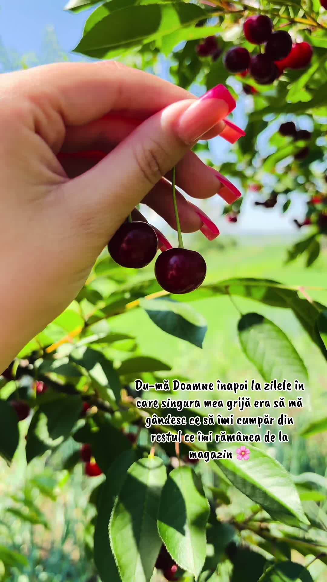 @Iuliaaaa_17