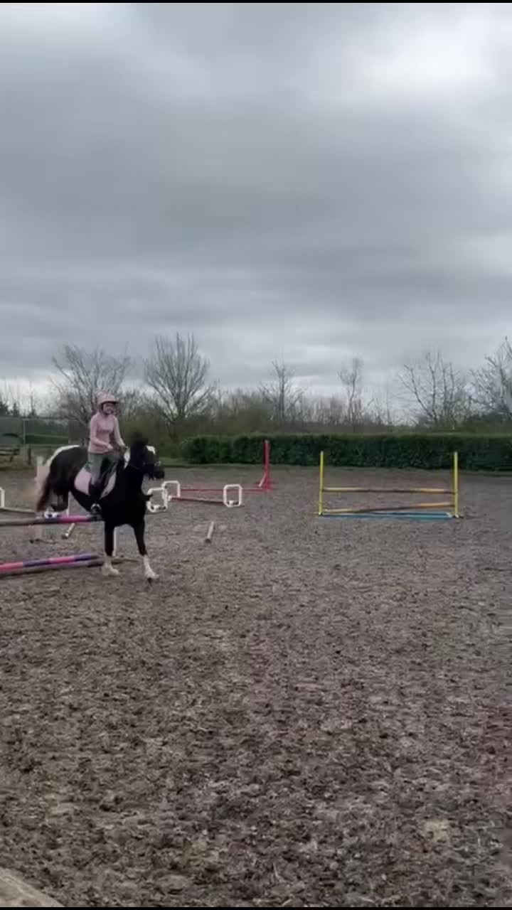 @liliys.mainacs2
