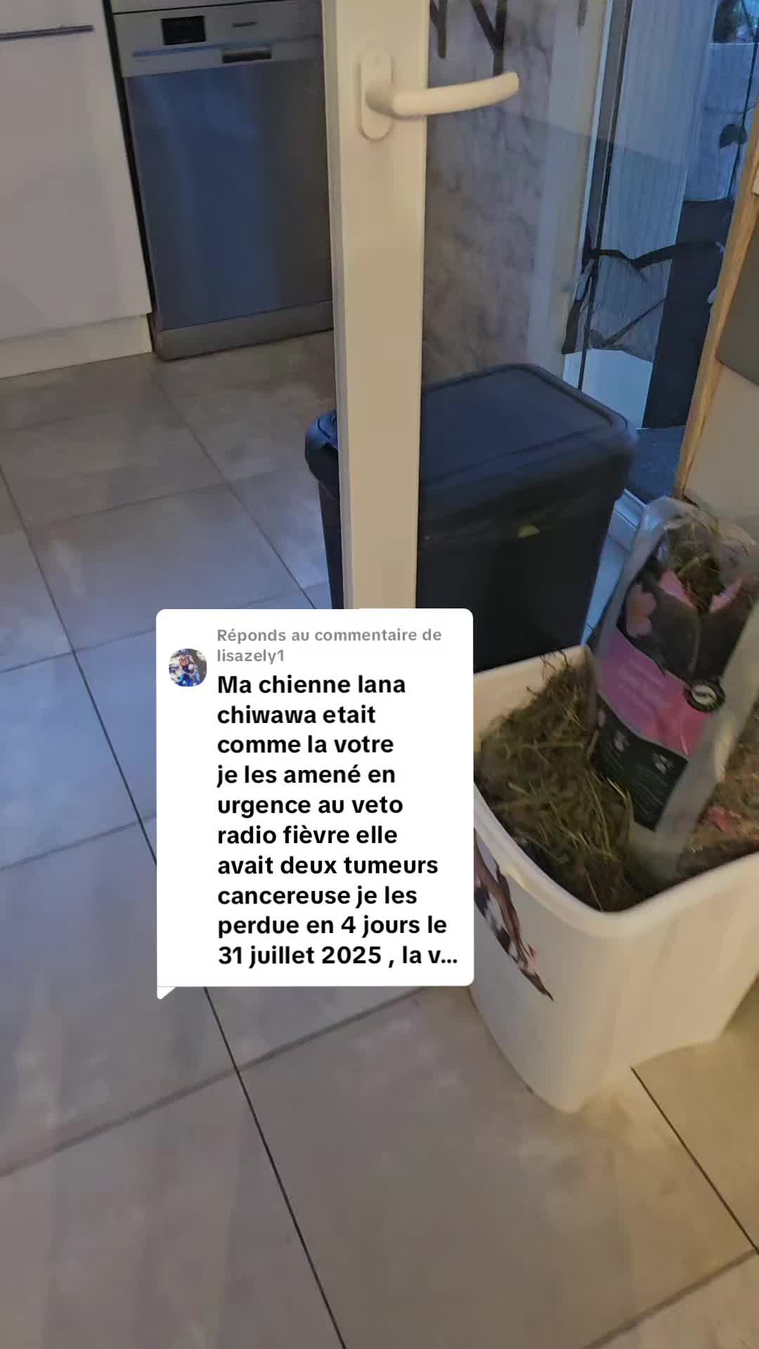 @POPEYE MA TORTUE 🐢