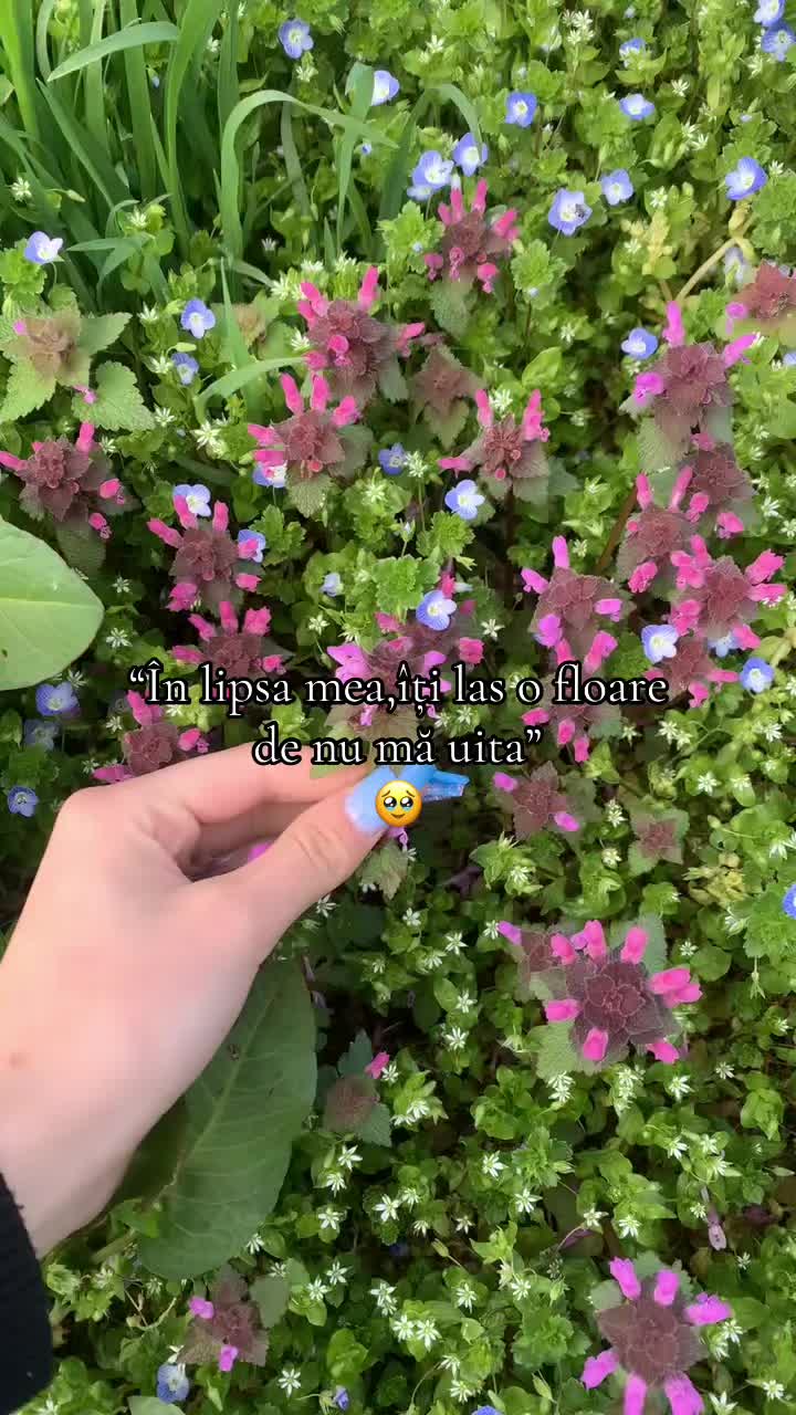 @gabita.gbr