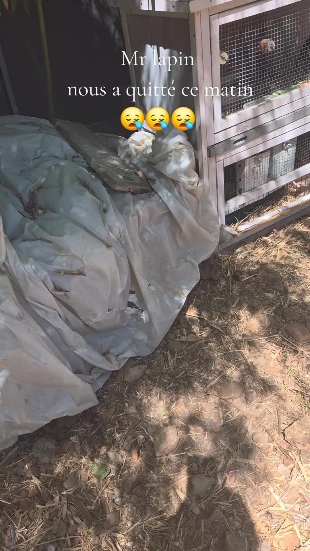 @SO