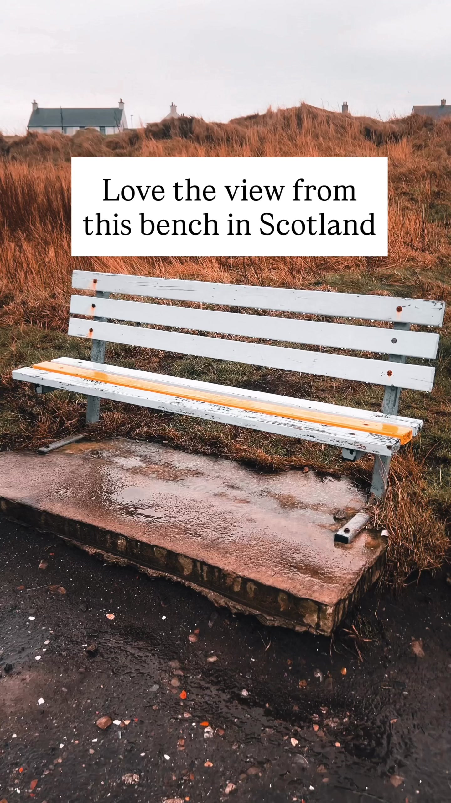 @John Murray - Scotland