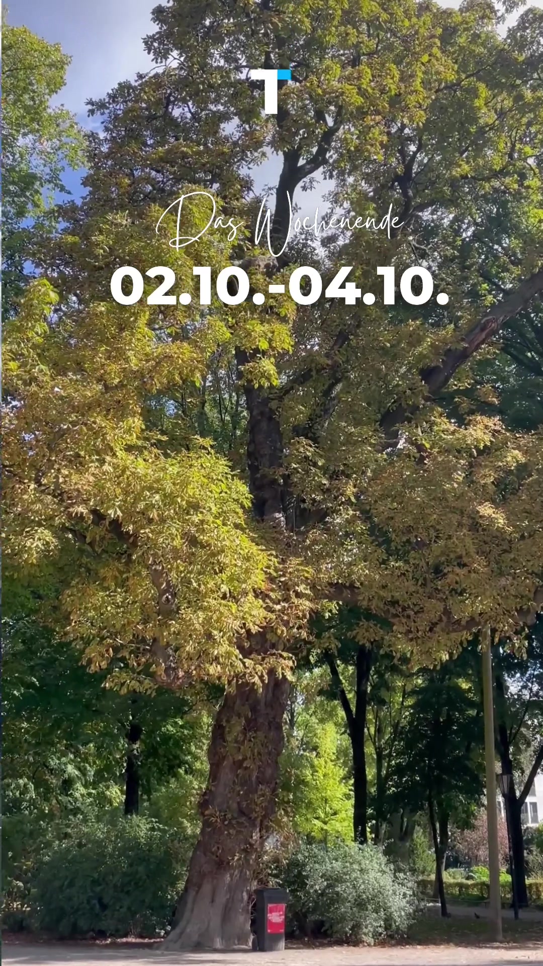 @Düsseldorf TONIGHT
