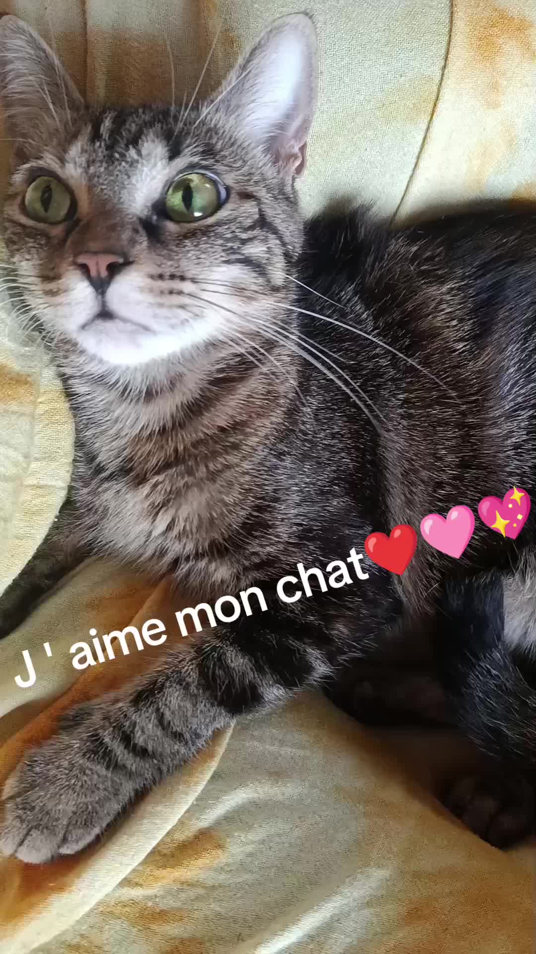 @Fleur blanche