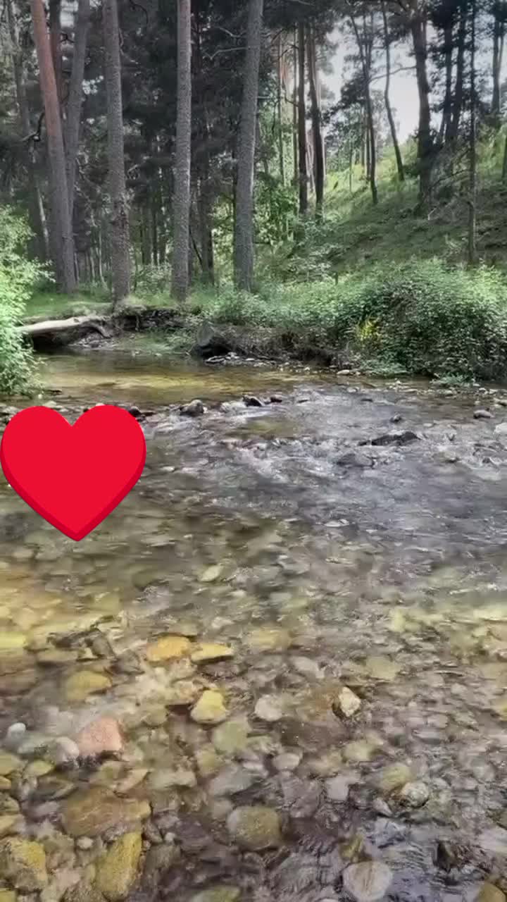 @rifeya