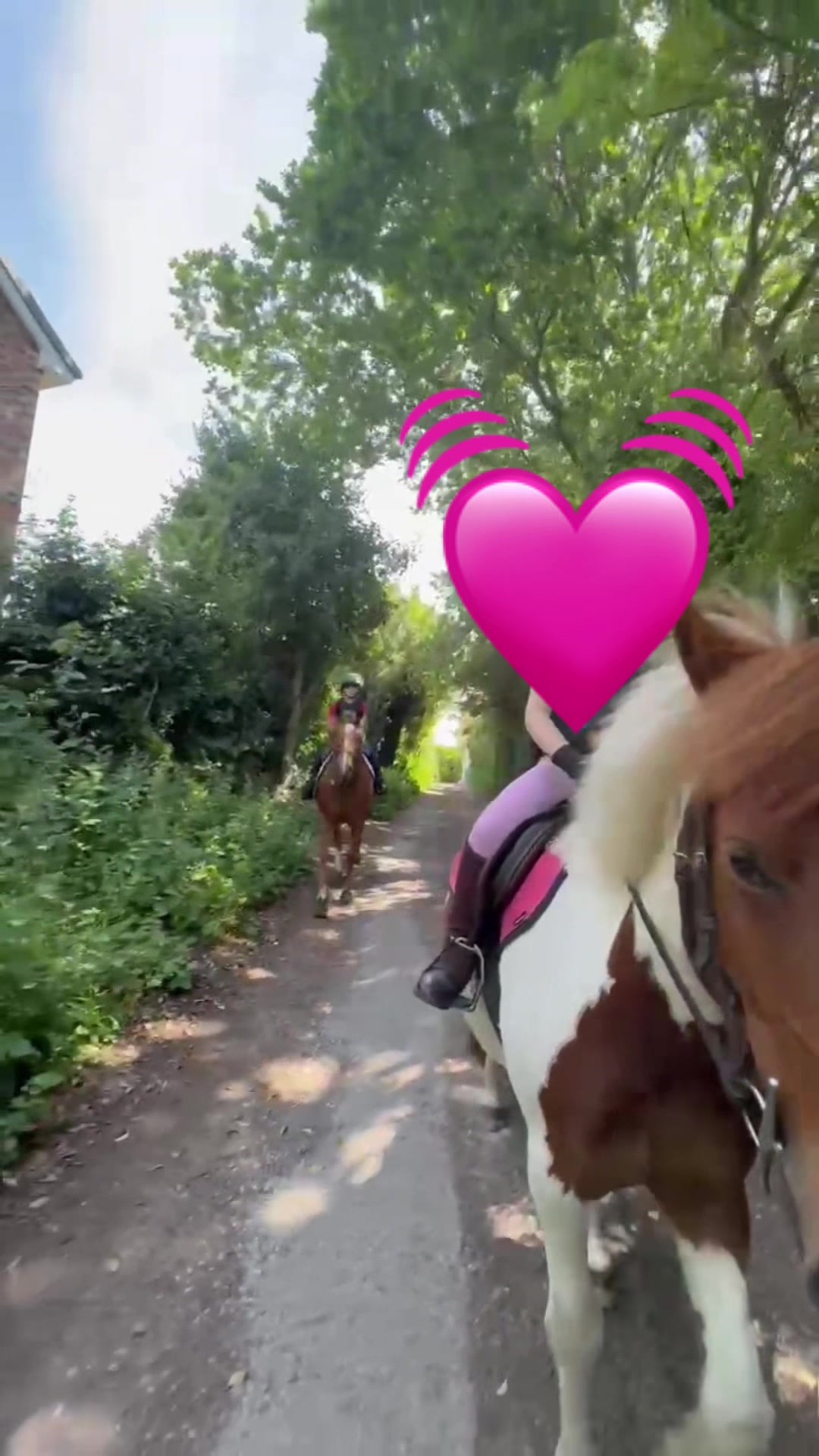 @LottiesHorseAdventures🦄🐴