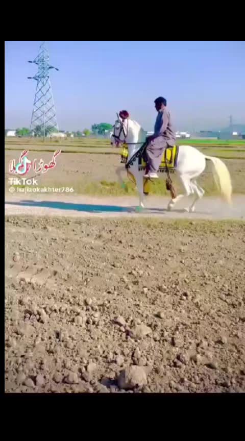 @majid Ƙàțàřîŷå