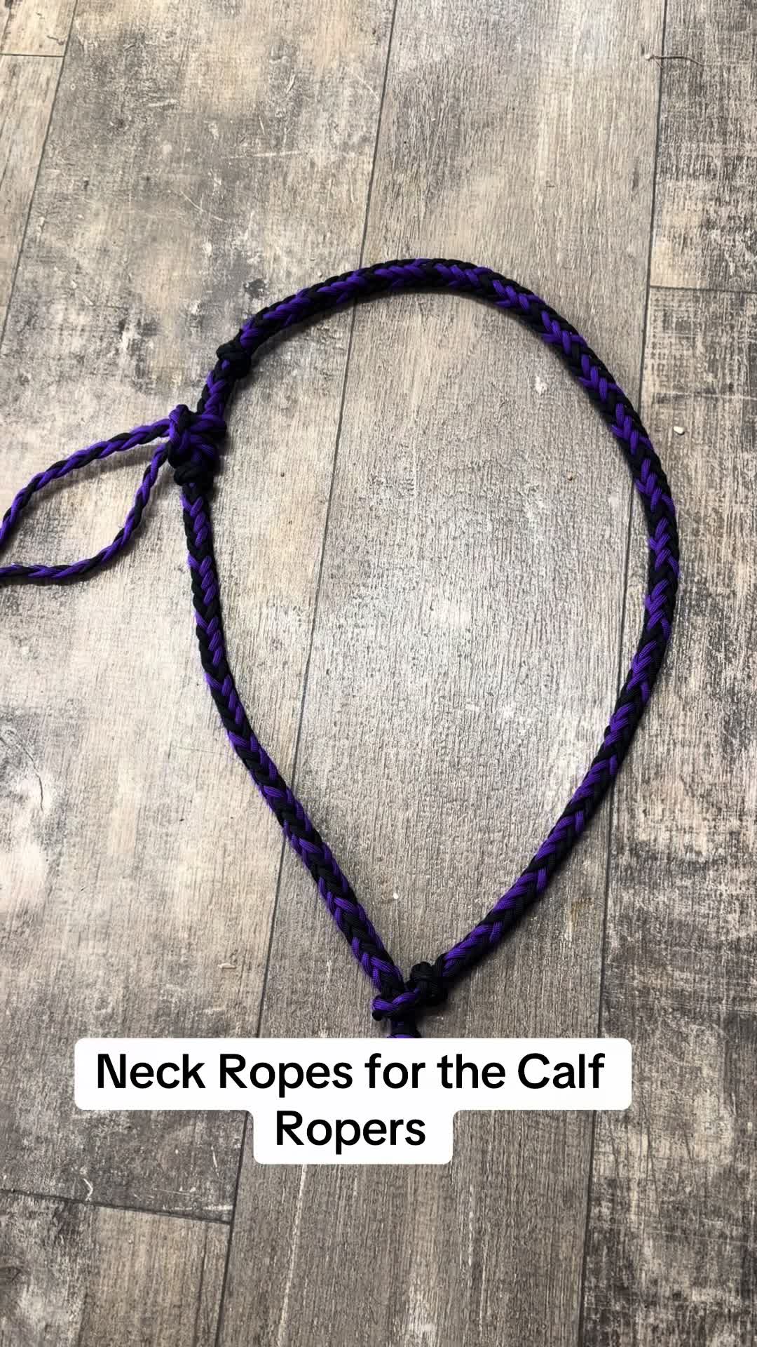 @Tiffanys Braided Horse Tack