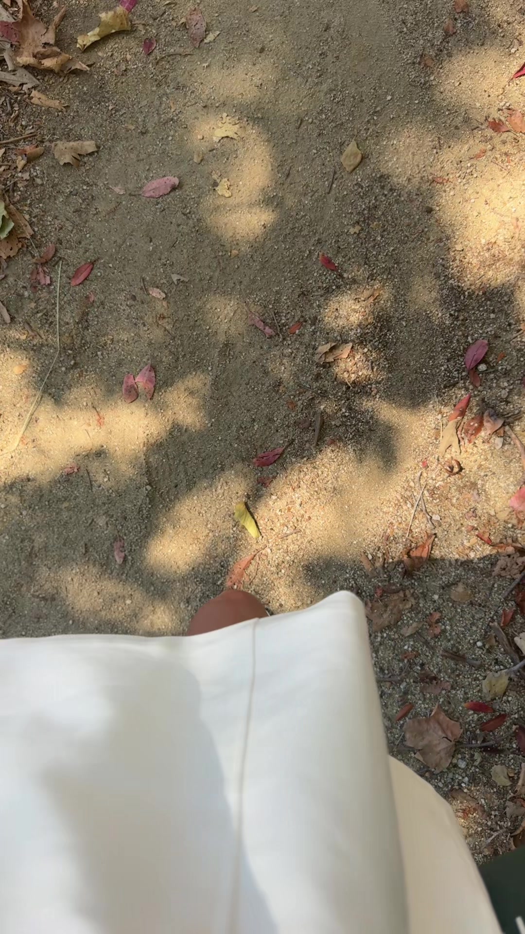 @Anissa🦈
