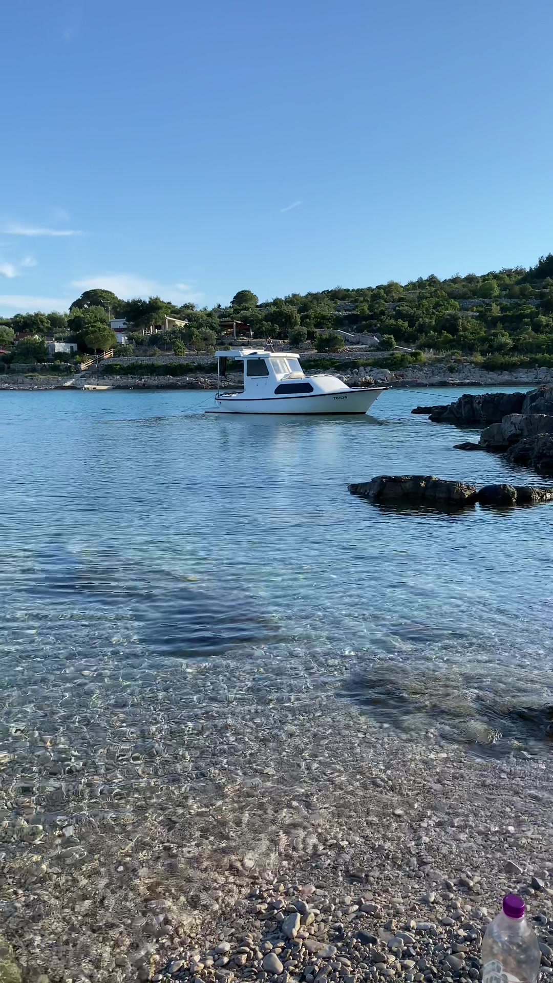 @Ante Miše