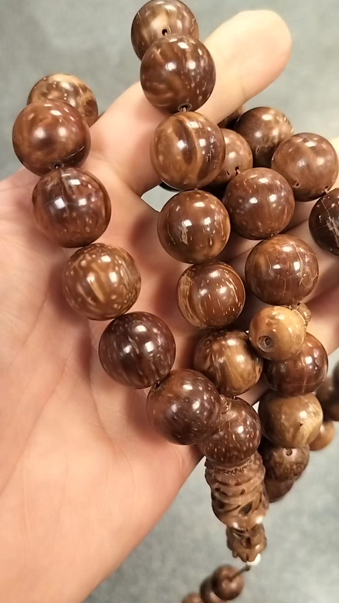 @عالم الخريستو خريستو