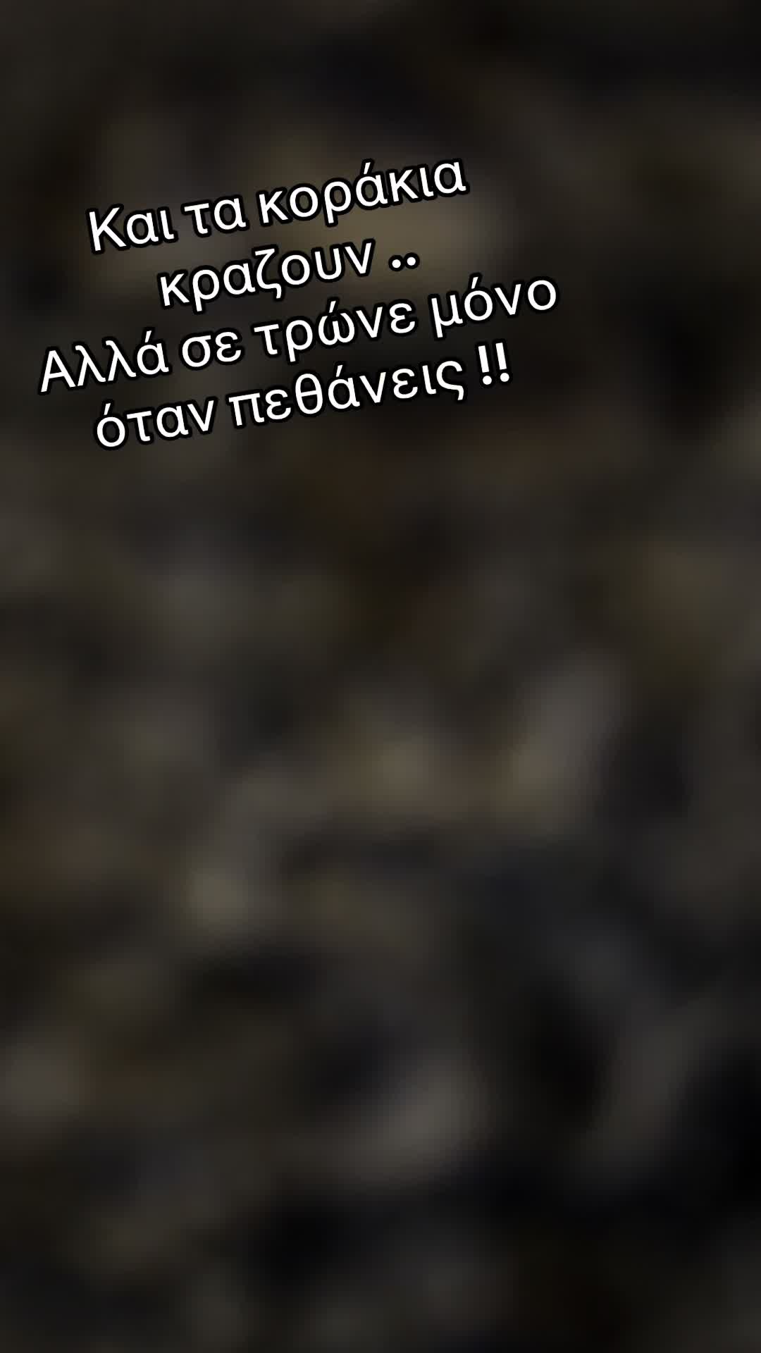 @Nikos.bmwe36