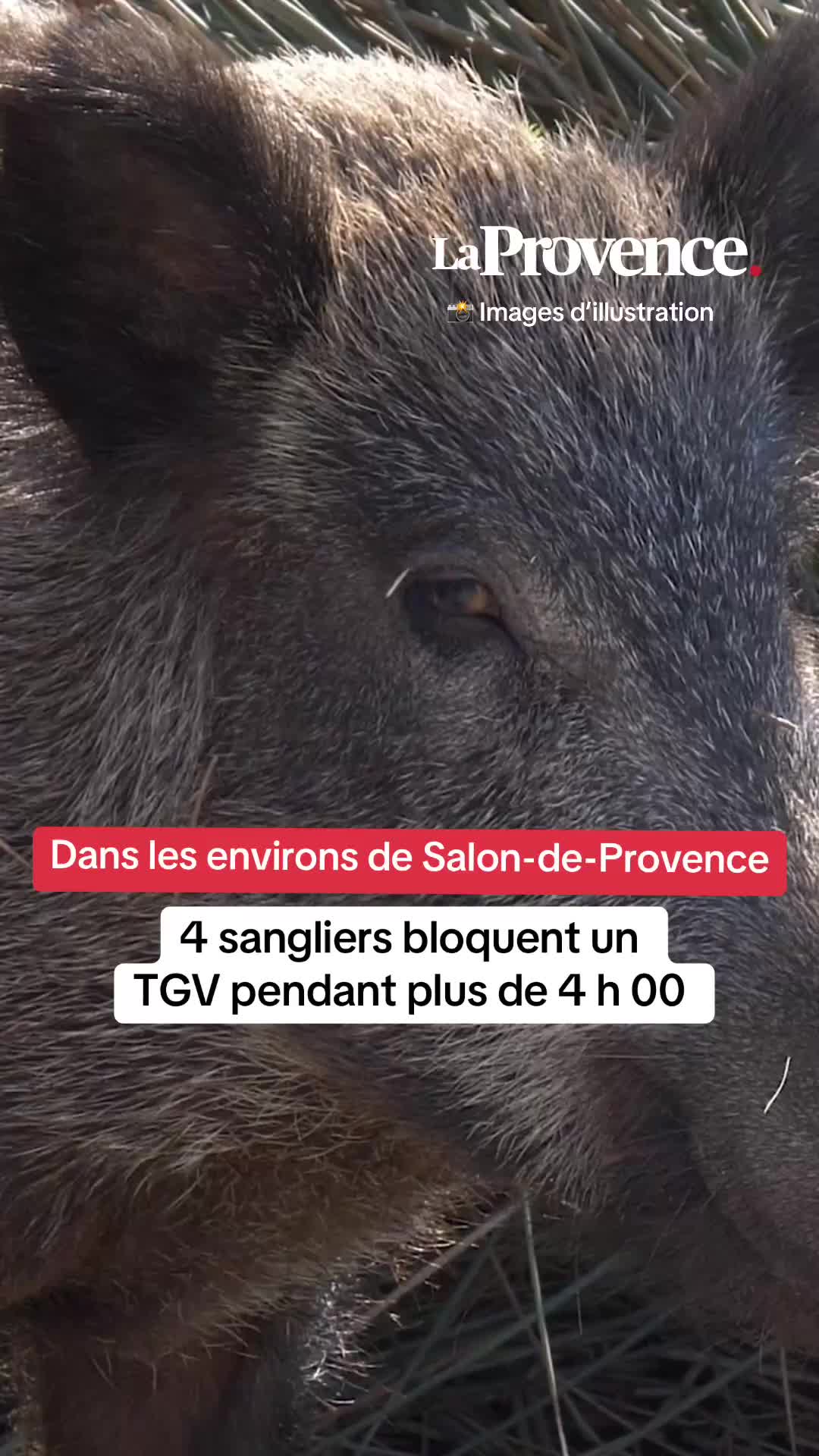 @La Provence