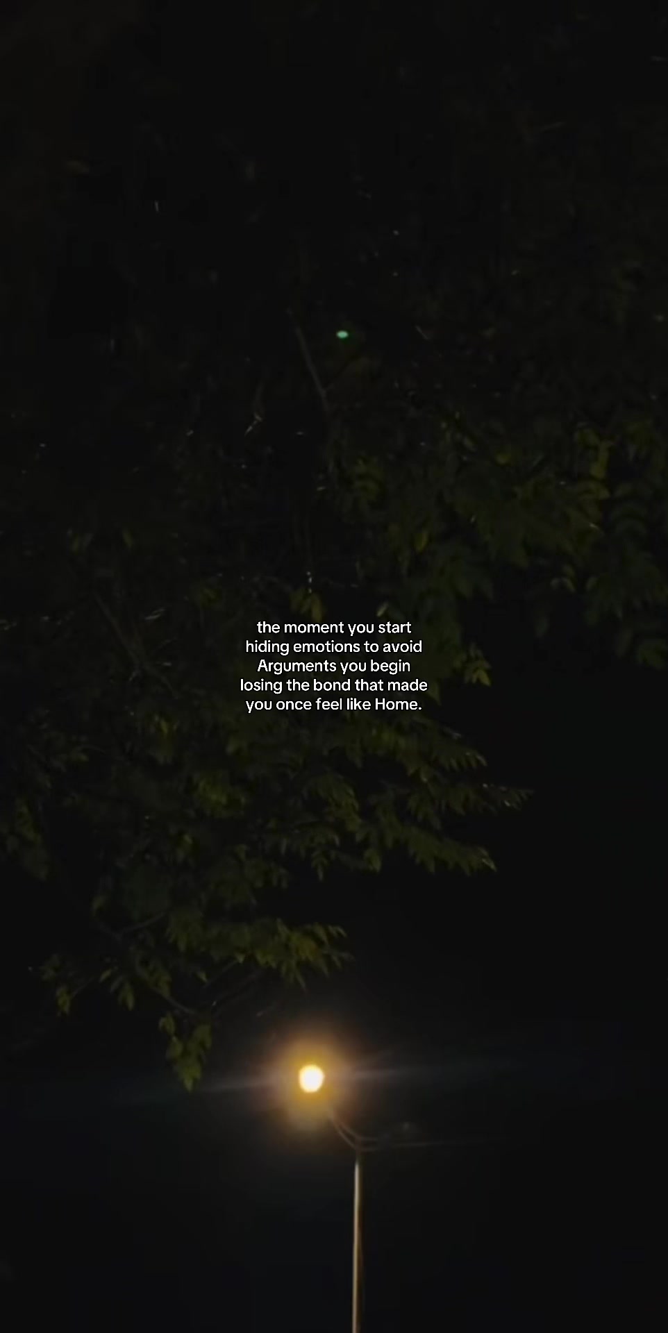 @🍂