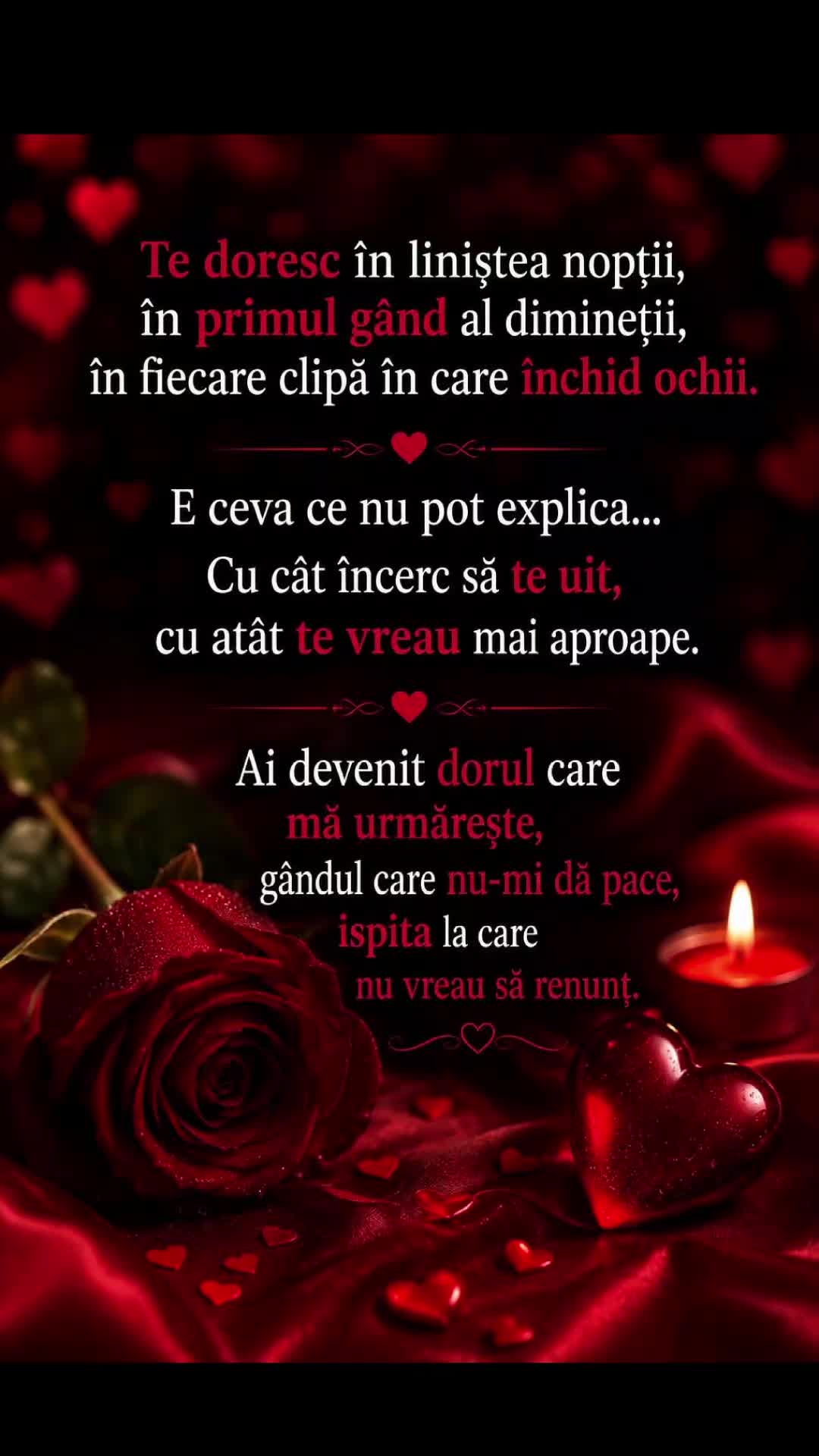 @💫💫Layla 💫💫