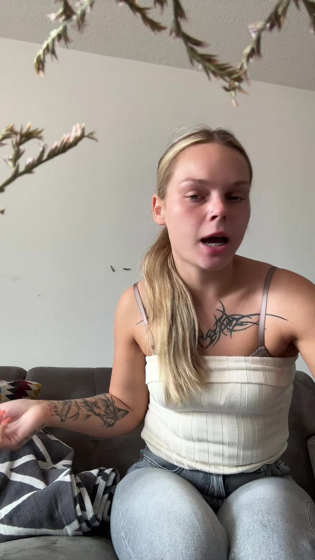 @bordermina
