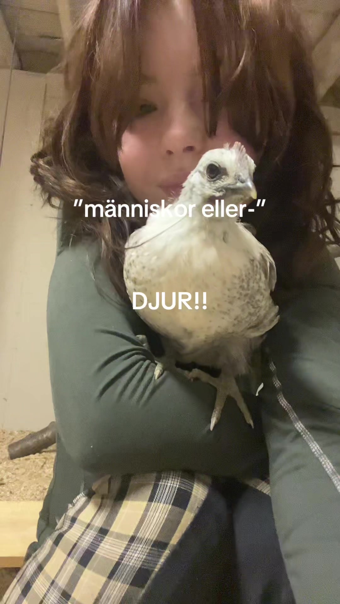 @snippisalma
