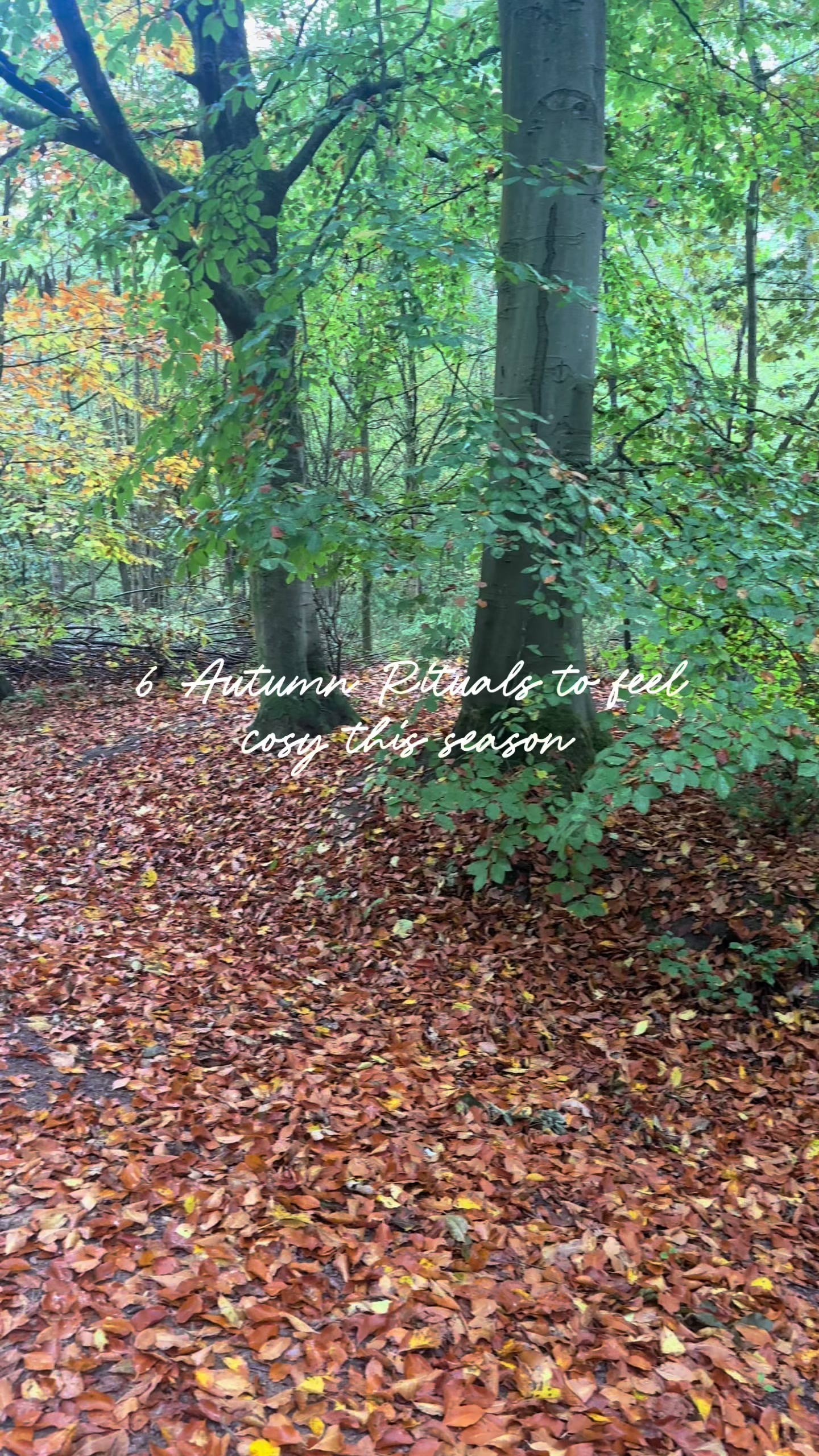@Donna - Whimsy & Wist Candles