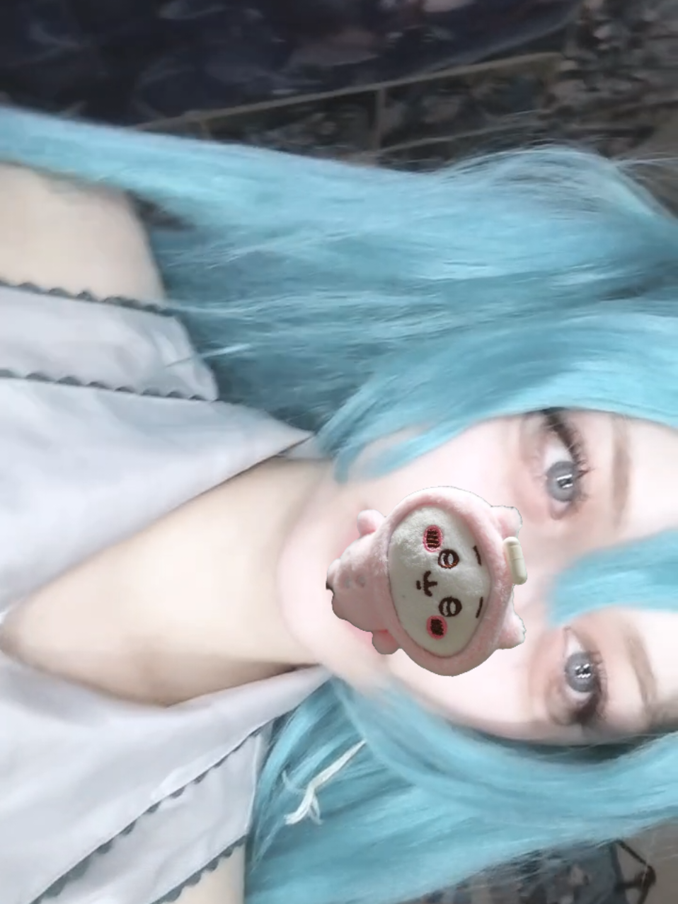 @(=^・ェ・^=)