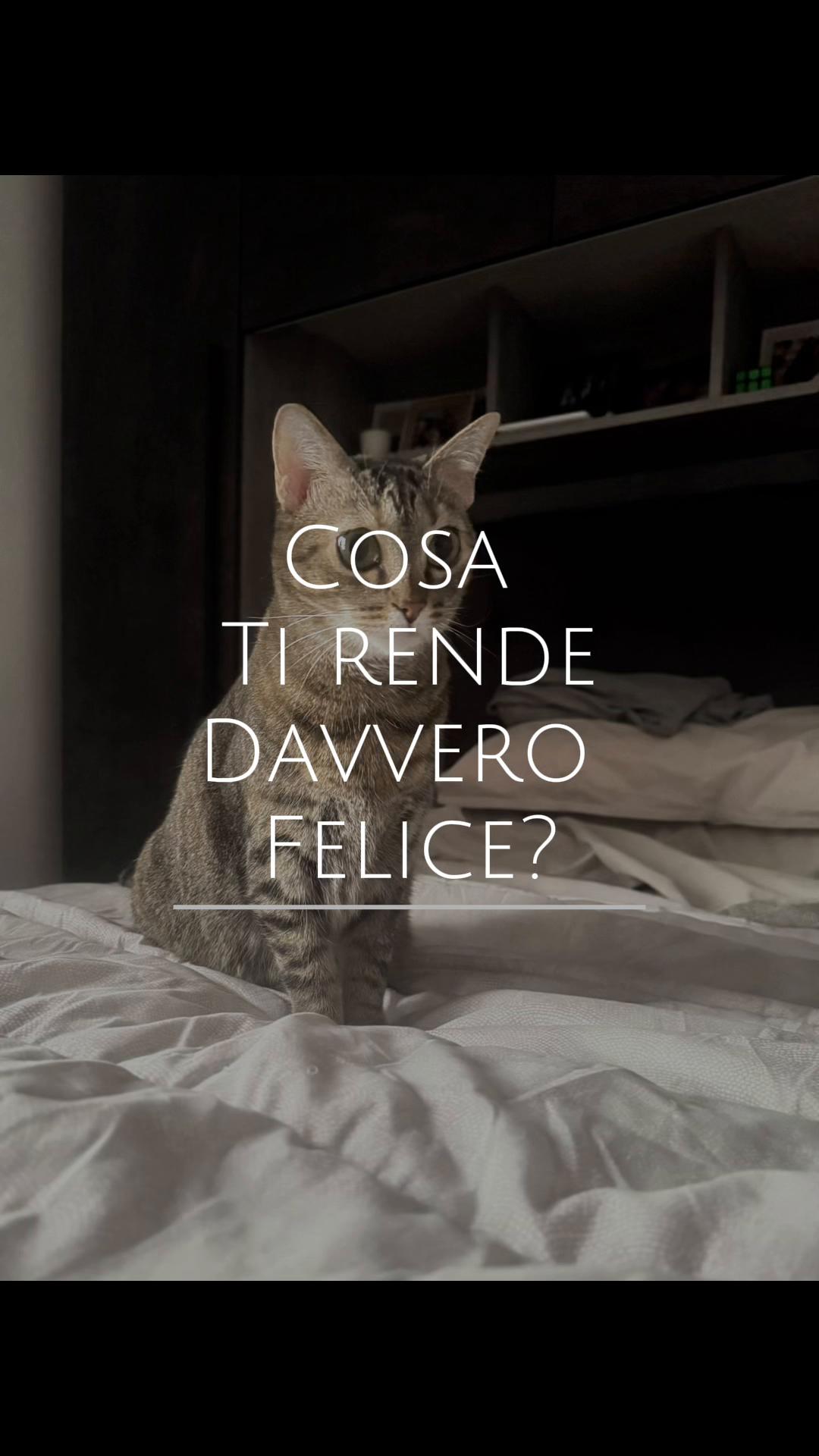 @Margherita__