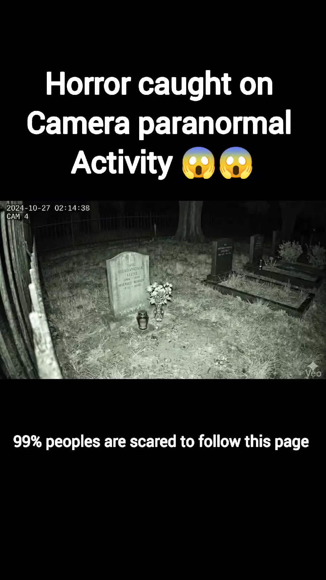 @Scary Activity