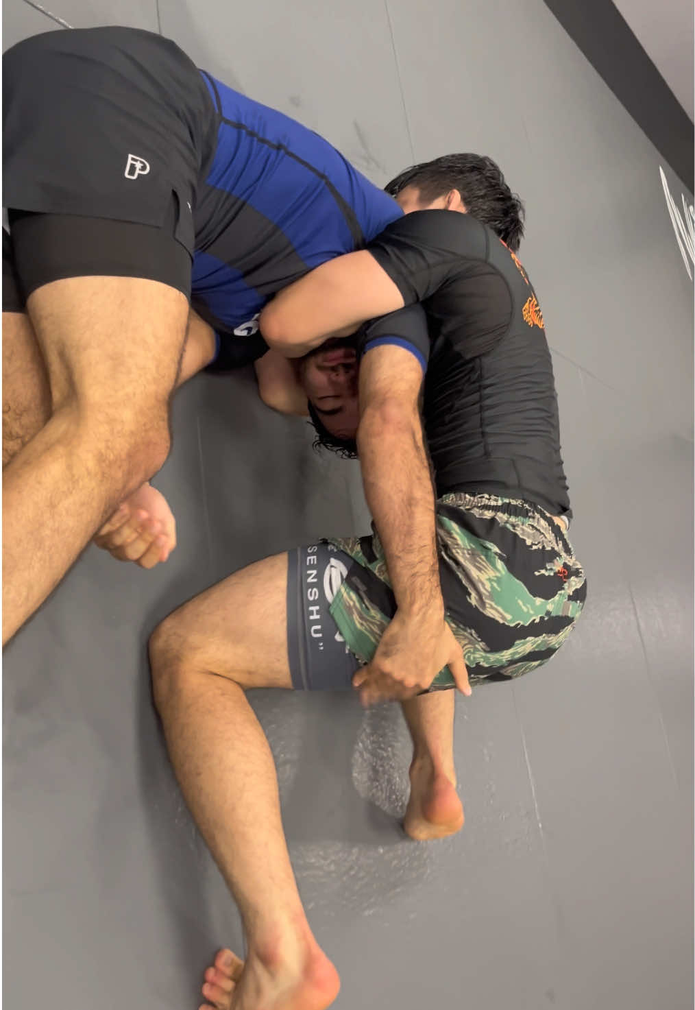 @Abelbjj