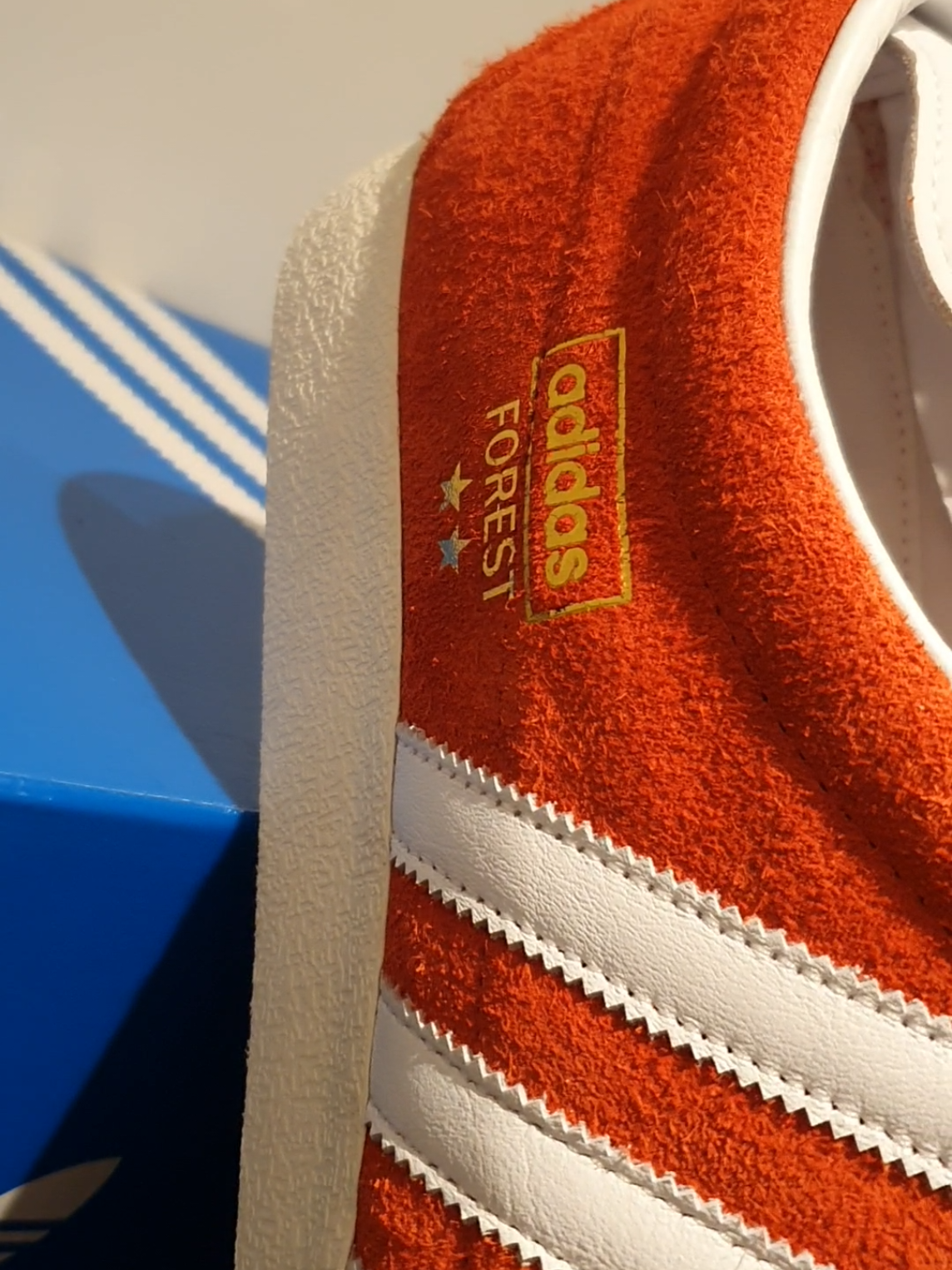 @Terrace Trainer Recovery