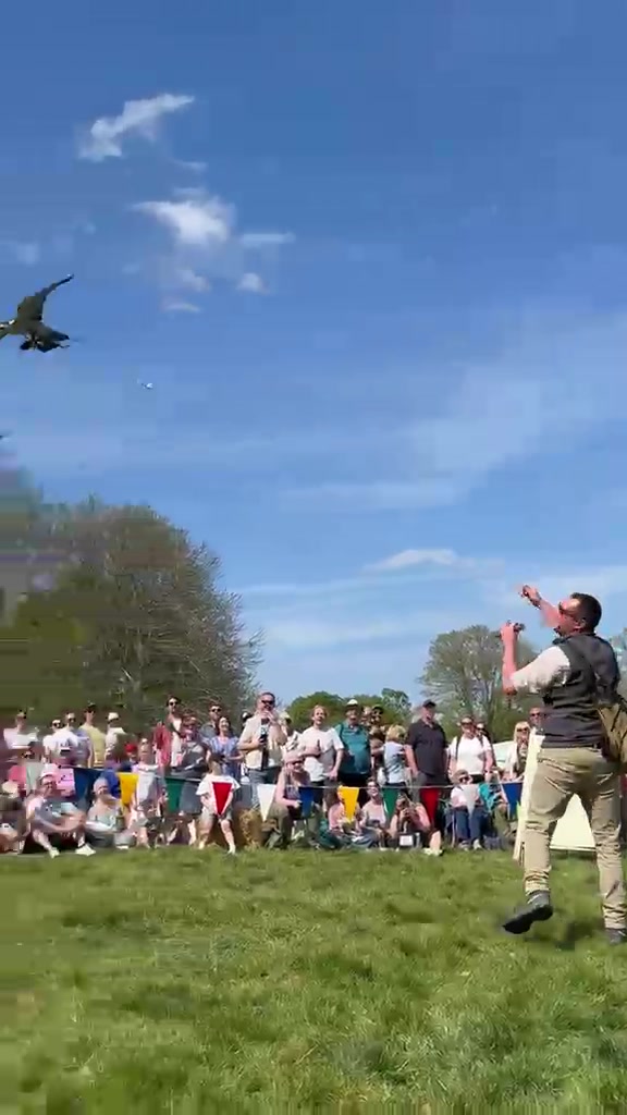 @Kent Falconry Centre
