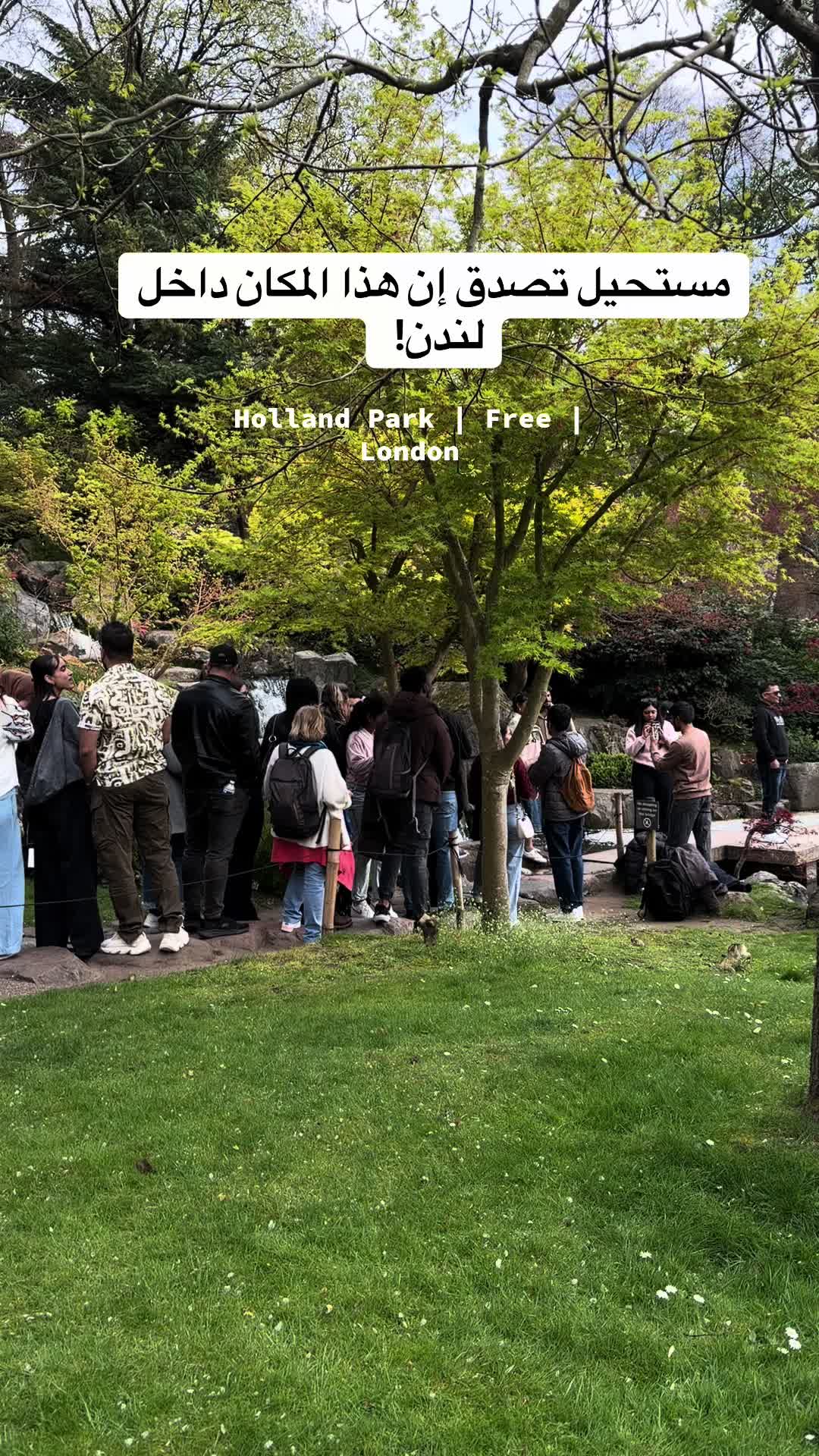 @فاطمة السقرداوي🇬🇧