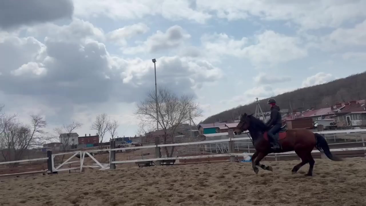 @🐴🤎