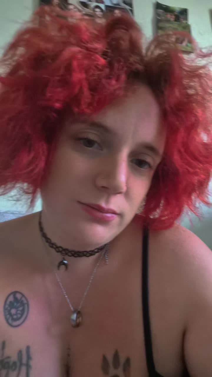 @Tish-Tash rose 🌹