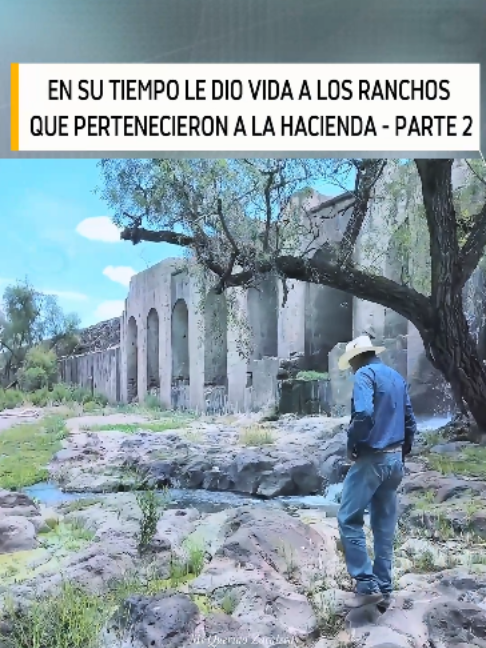 @Videos De Mi Querido Zacatecas