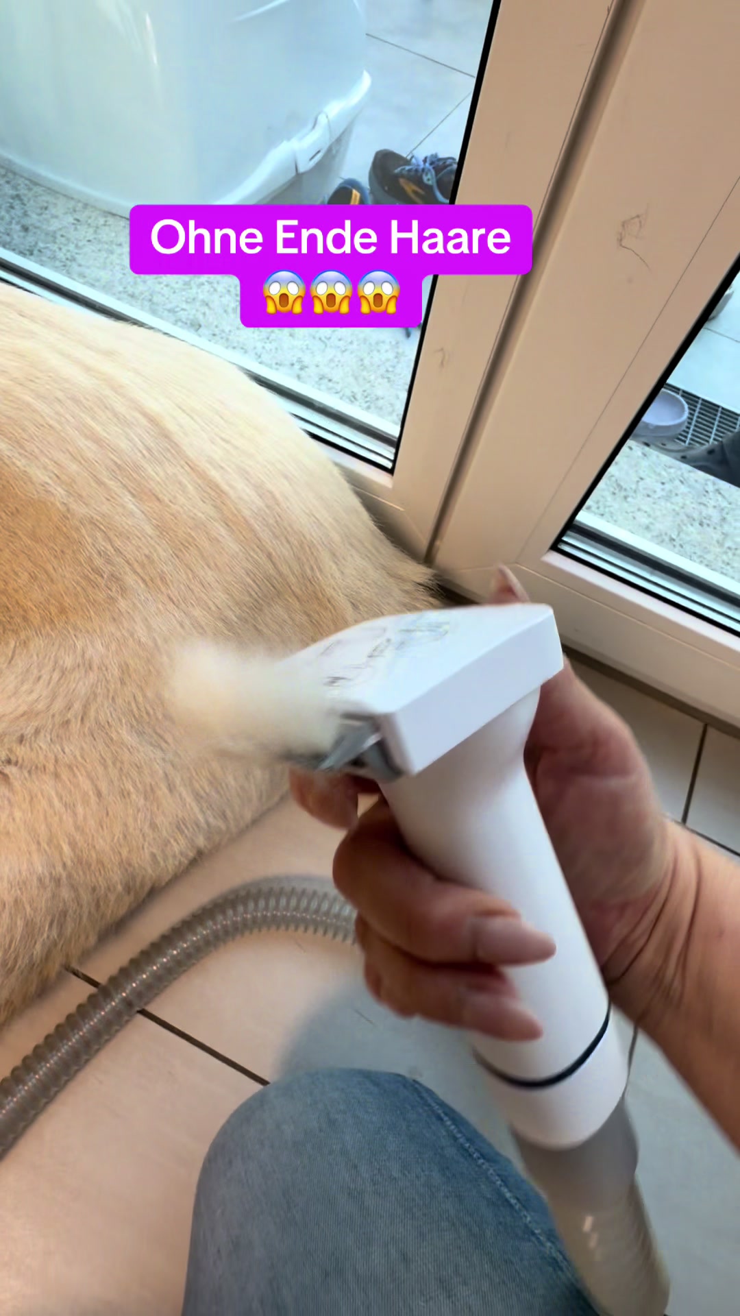 @Braunici
