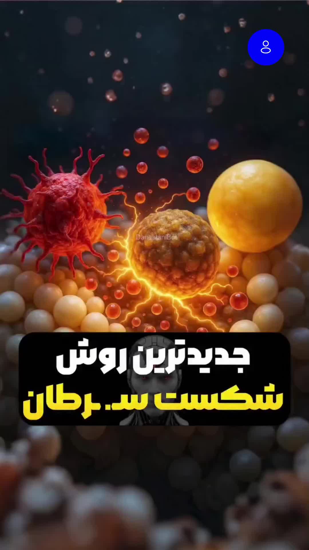 @فکت مغز