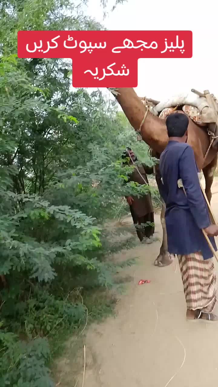 @2  bhai official