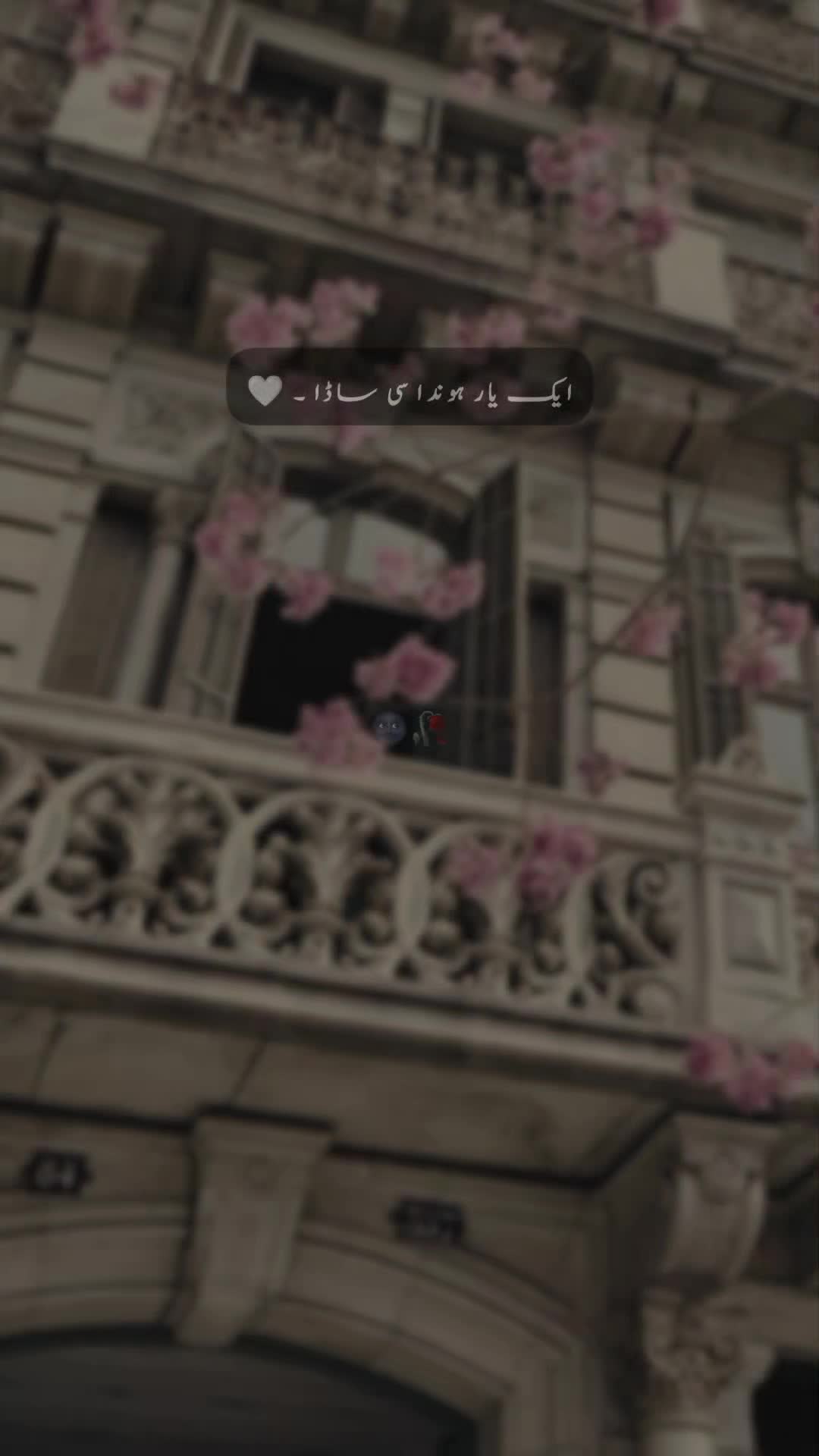 @𝐒 𝐚 𝐌 𝐢 🍂🫀