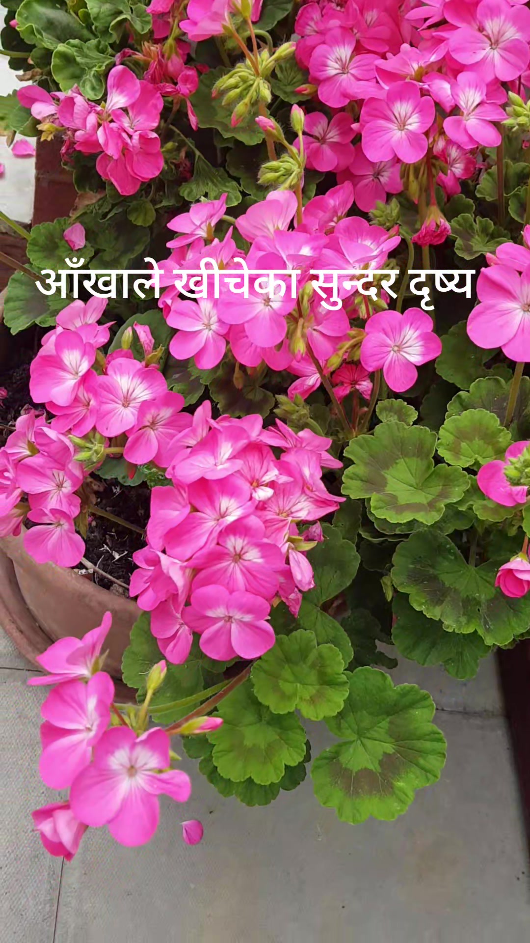 @Durga Gurung