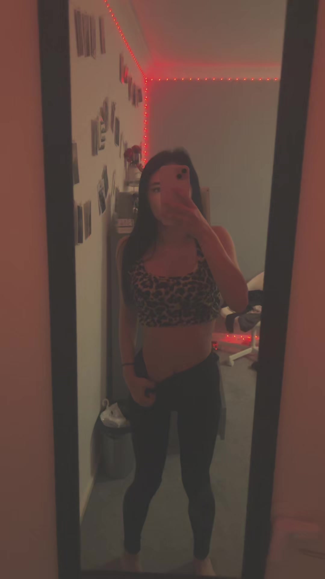 @gracexspamx
