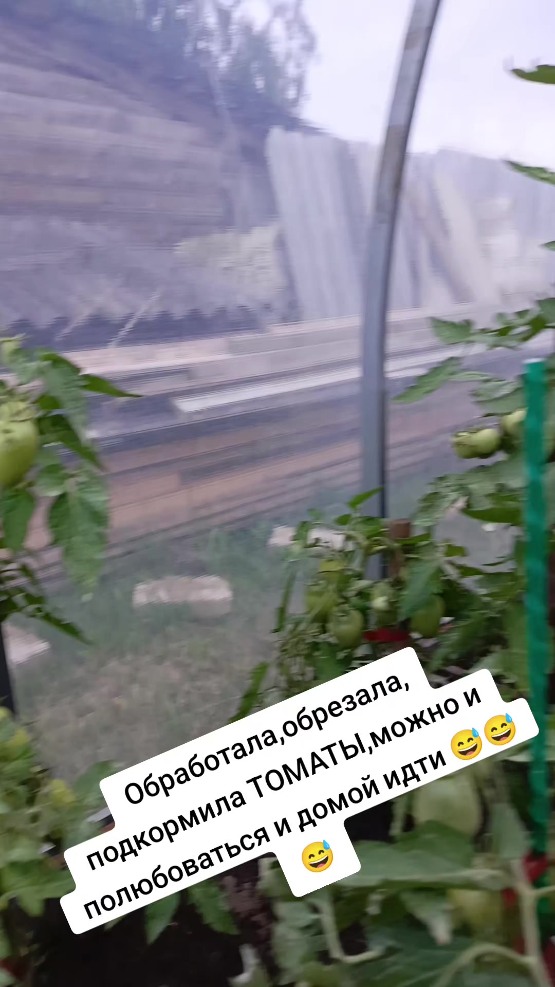@Оленька