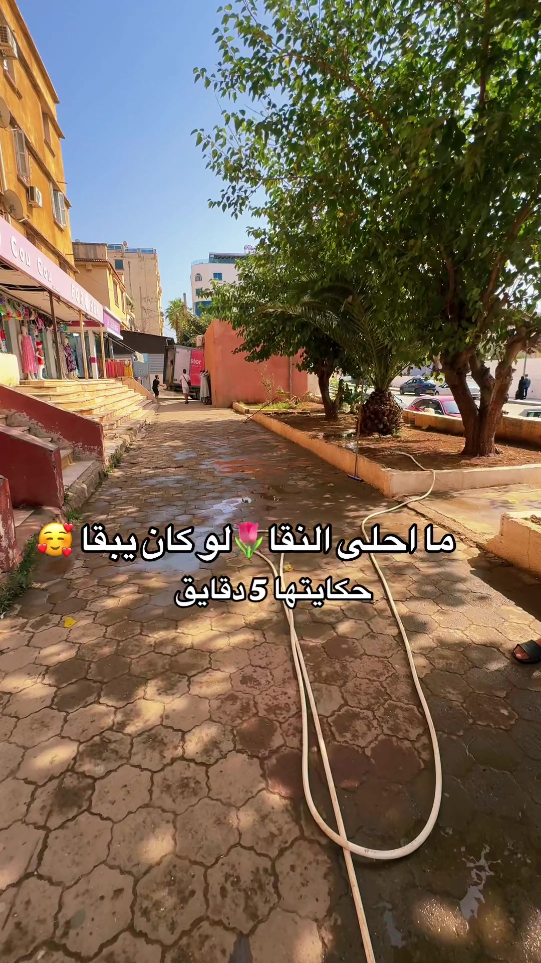 @بلوزدادي✌️