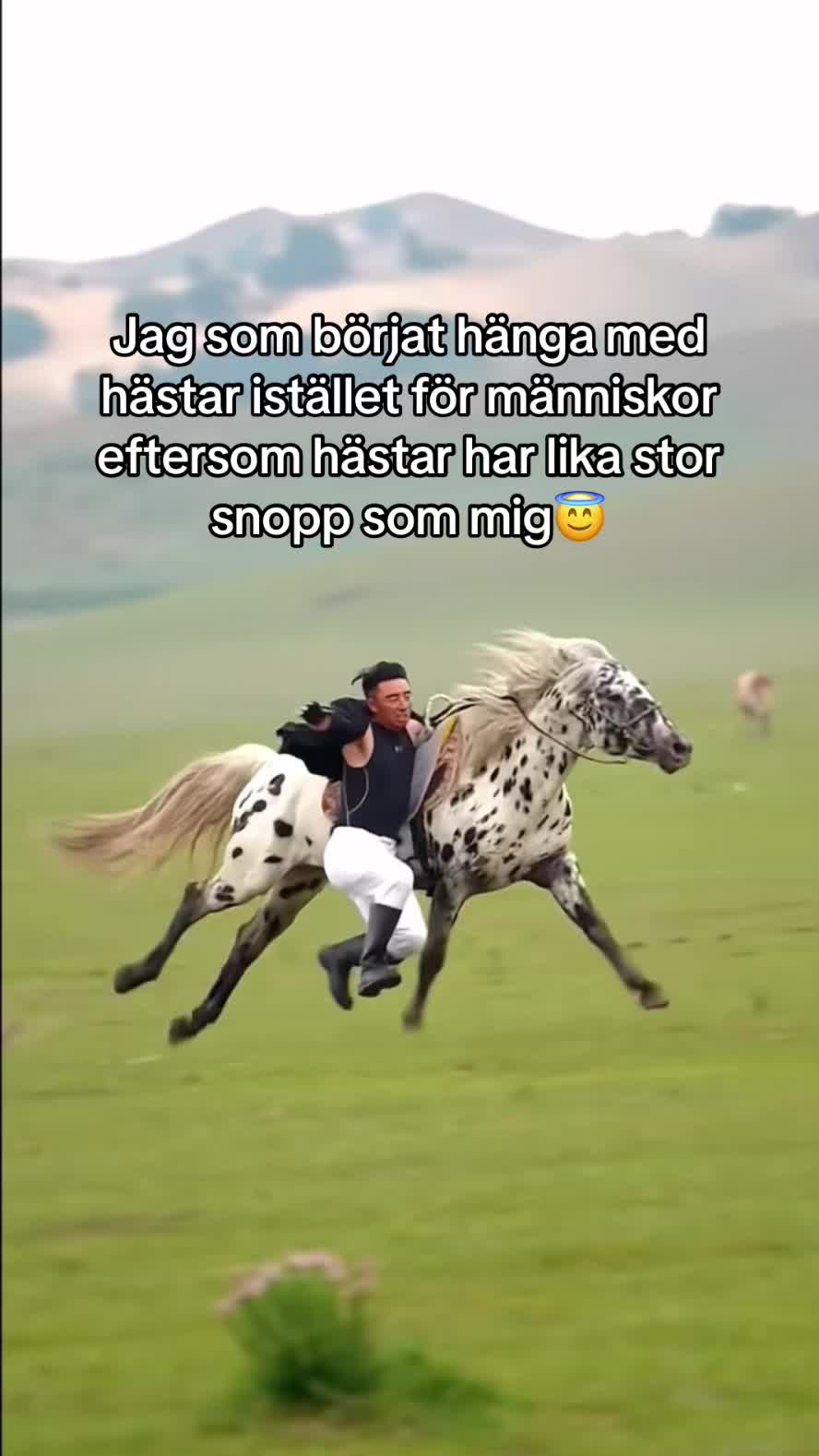 @Yobest10