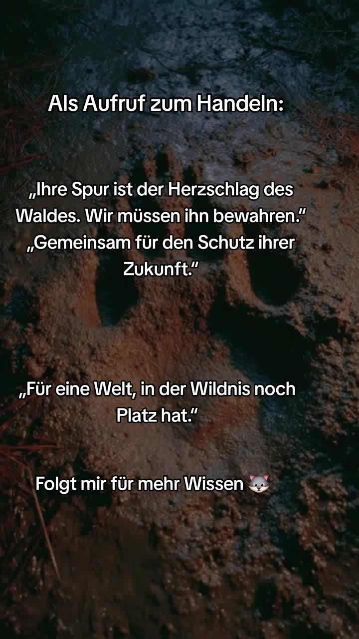 @Schutz für Wolf und Weide 🇦🇹