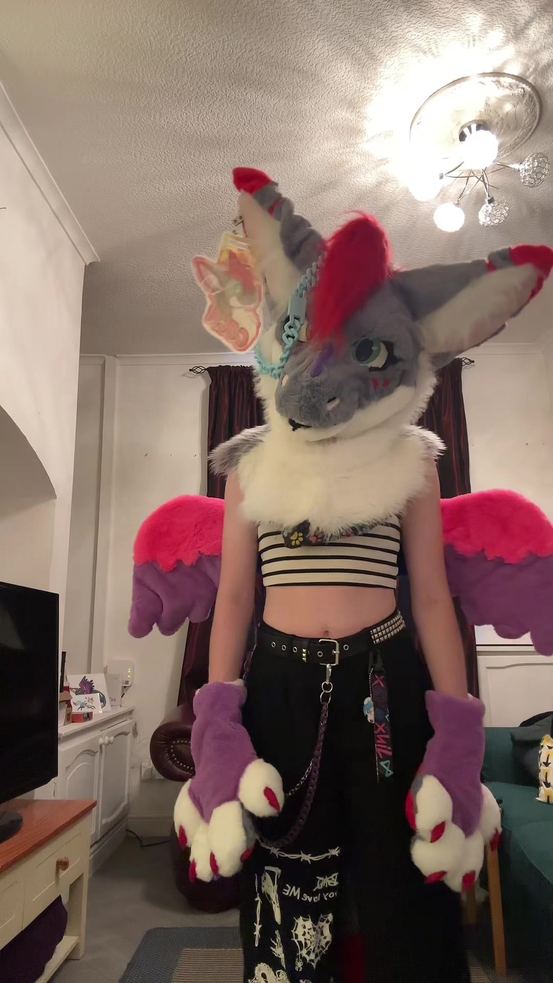 @Cola_the_angeldragon ❤️🖤